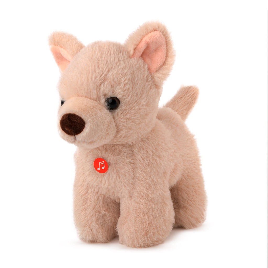 Чихуа хуа със звук