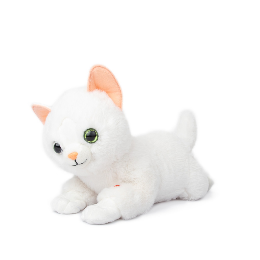 Легнало коте