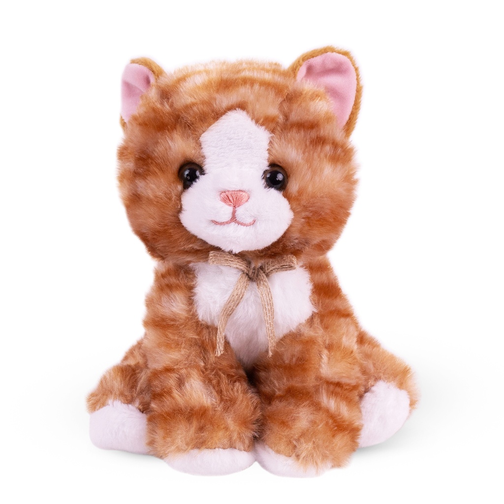 Котка І 2 цвята