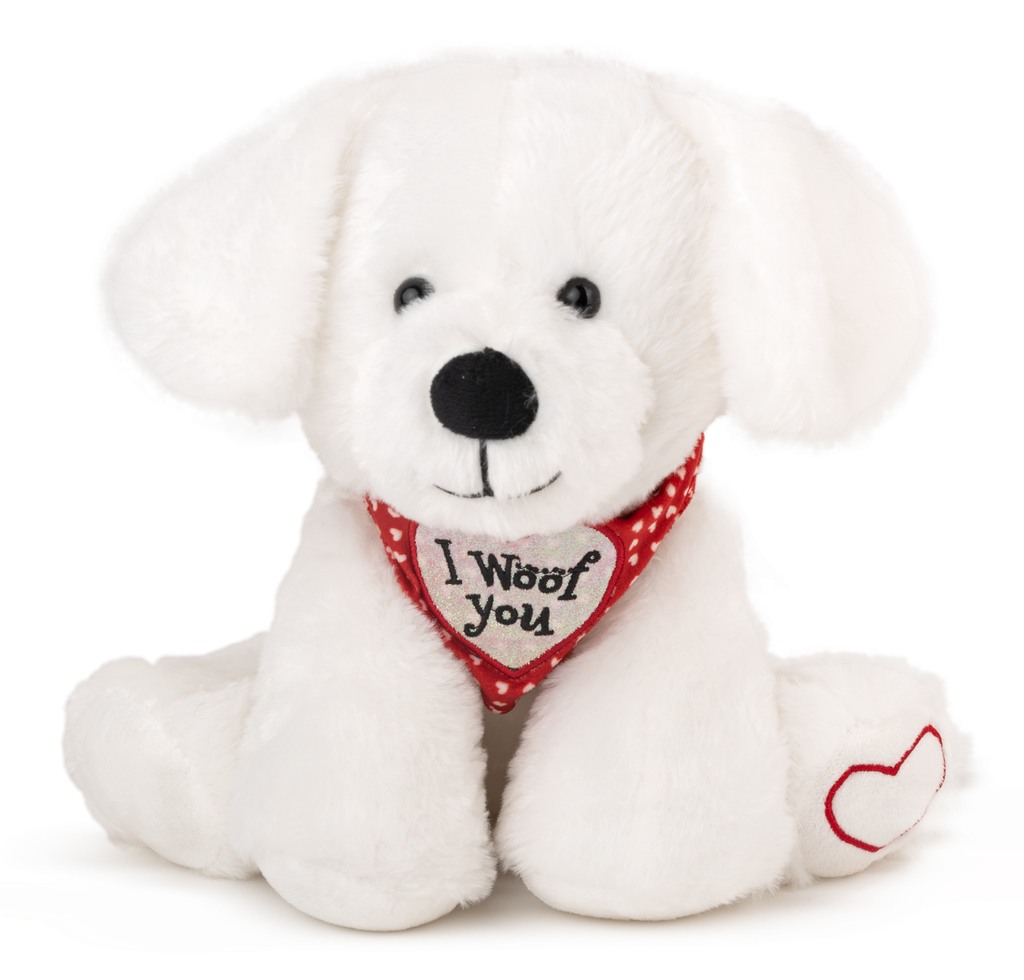 Бяло куче с шал