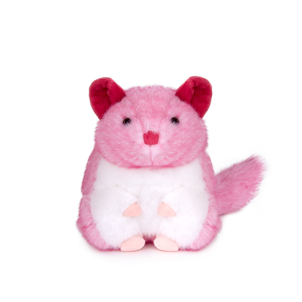 Чинчила І 2 цвята