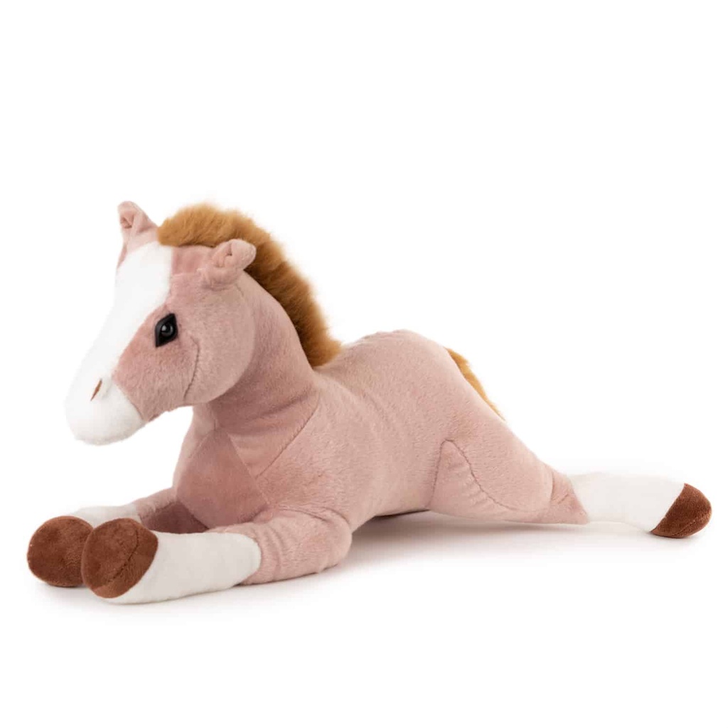 Легнало конче| 2 цвята