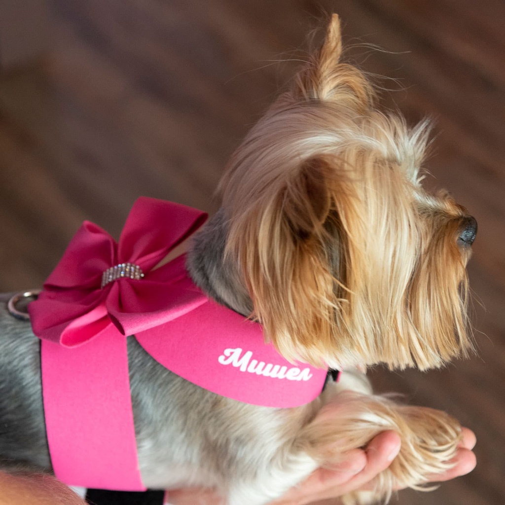 Кучешки нагръдници с панделка