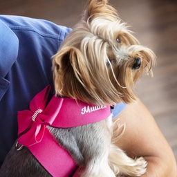 [L2001/L2002/L2003] Кучешки нагръдници с панделка