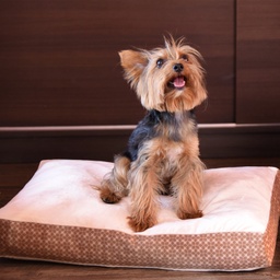 [099158/099159/099160/099161] Легло за домашни любимци - ВЪЗГЛАВНИЦА