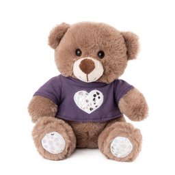 [010189-2/010190-2] Кафяво мече с лилава тениска