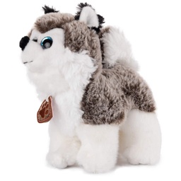 [010248/010249-1] Куче хъски със сини глитерни очи