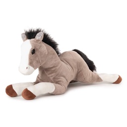 [030822] Легнало конче| 2 цвята