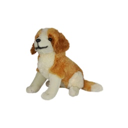 [080239] Куче| 2 вида