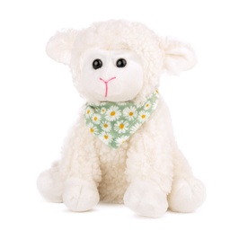 [010800] Овца с кърпа