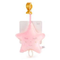 [098611] Латерна розова звезда