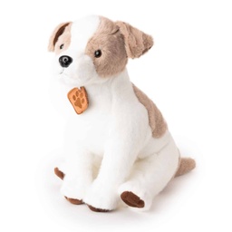 [010261/010262] Куче Джак Ръсел