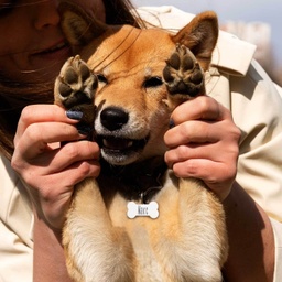 [099286] Медальон за кучешка каишка - Сребро/Стомана