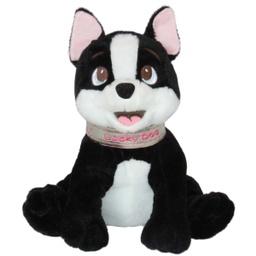 [010224] Куче с каишка