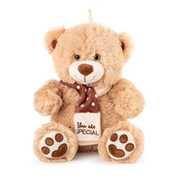 [040112-1/040112-2] Плюшено мече със шал „You Are Special“ І 2 цвята